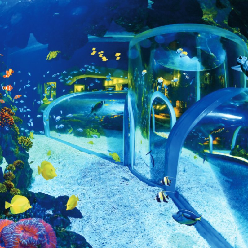 Poema del Mar Aquarium Gran Canaria